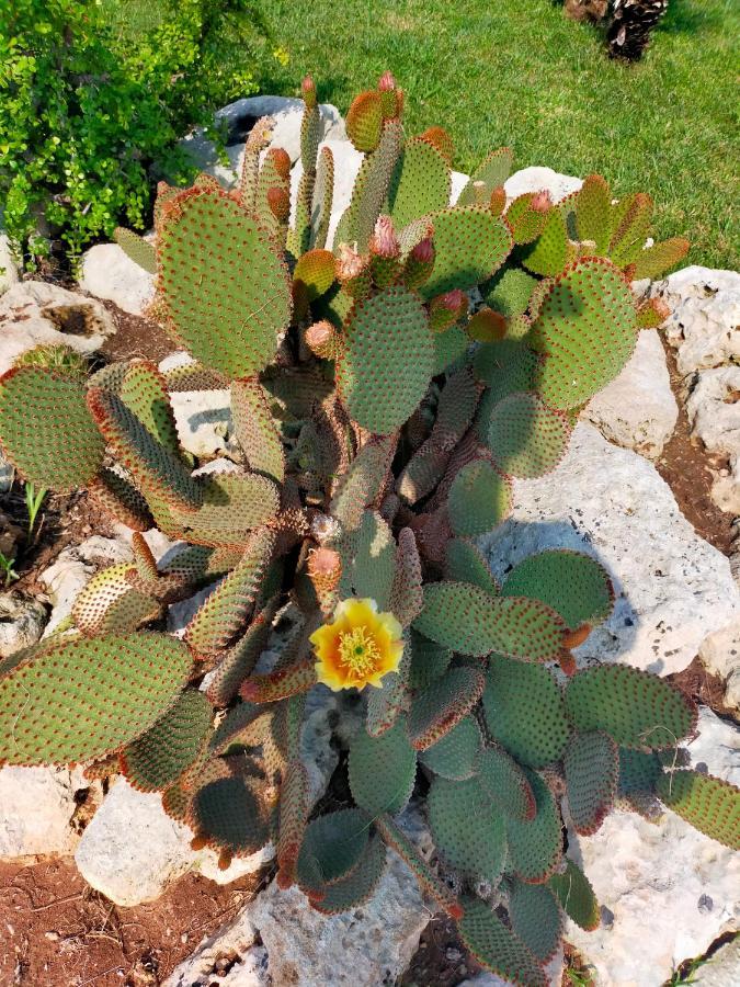 Вилла Il Giardino Deluxe Lizzanello Экстерьер фото