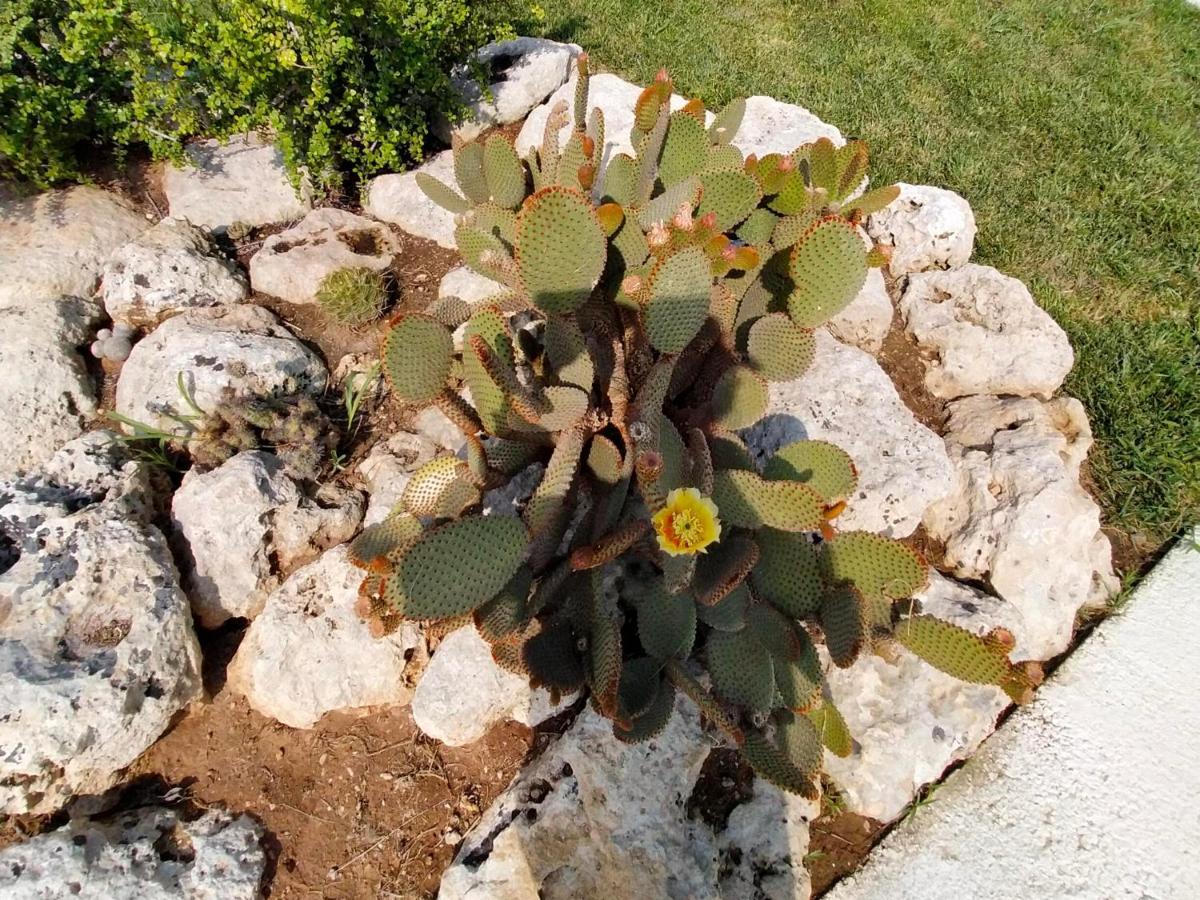 Вилла Il Giardino Deluxe Lizzanello Экстерьер фото